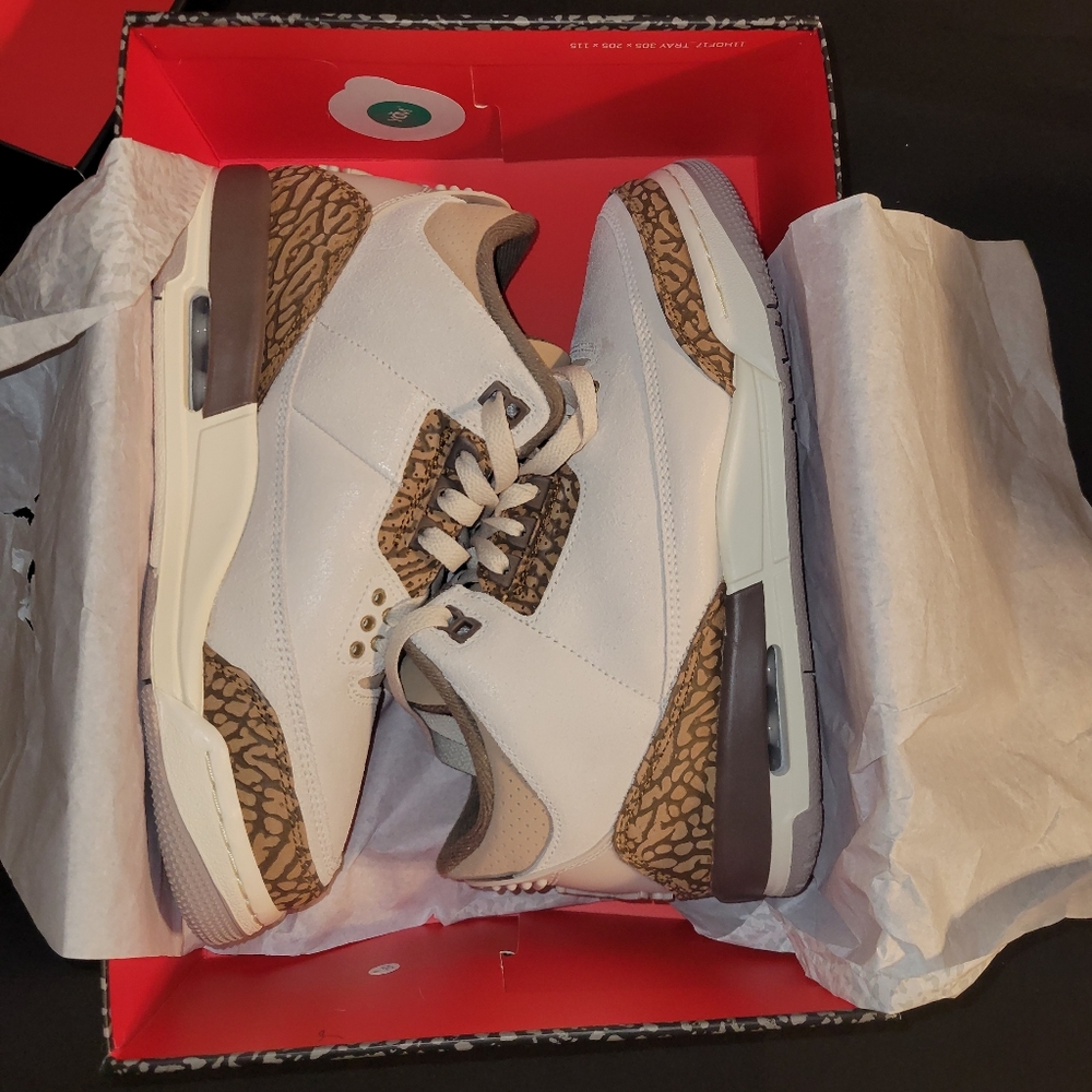 Nike Air Jordan retro 3